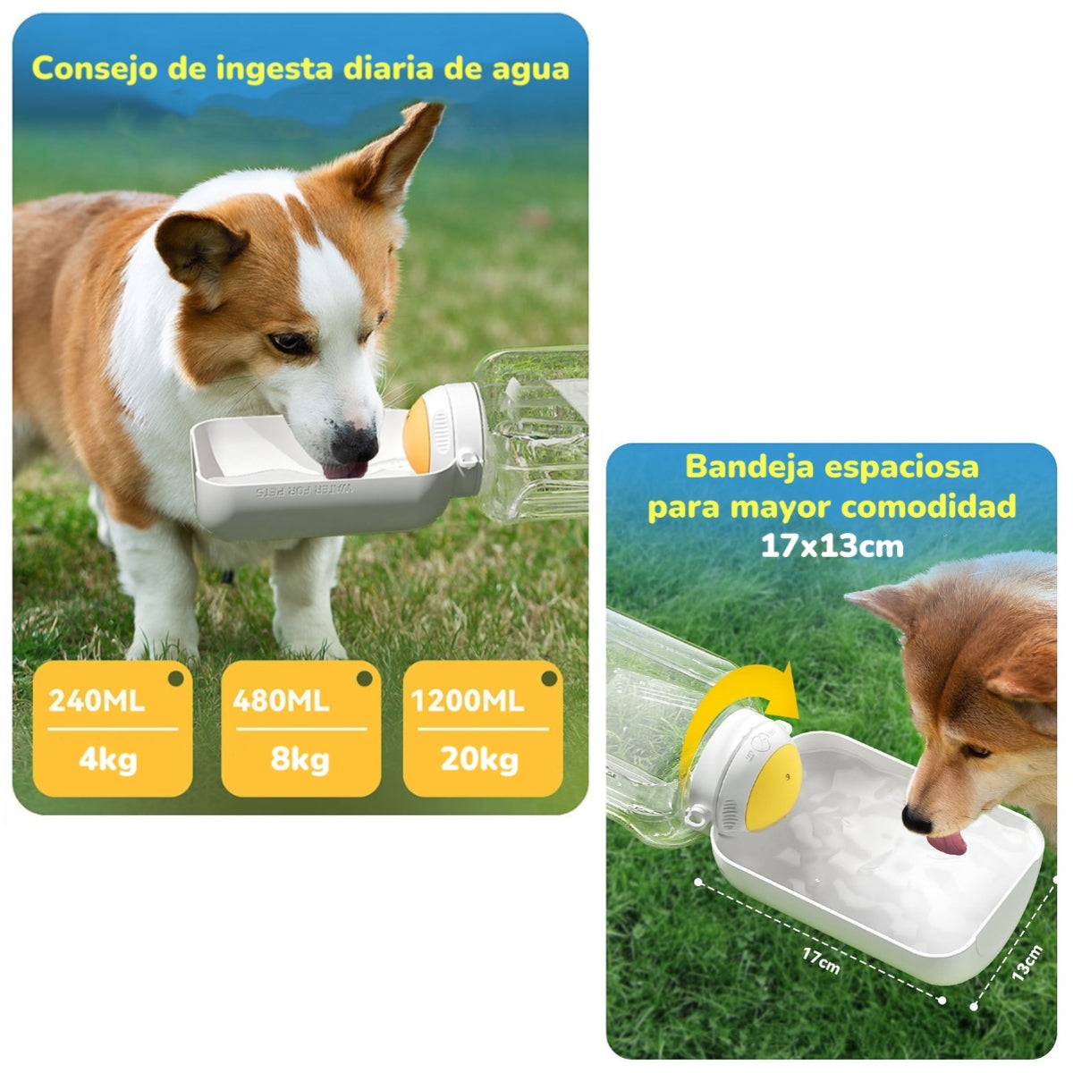 Botella De Agua Para Mascotas 3 En 1 By LuBabycas