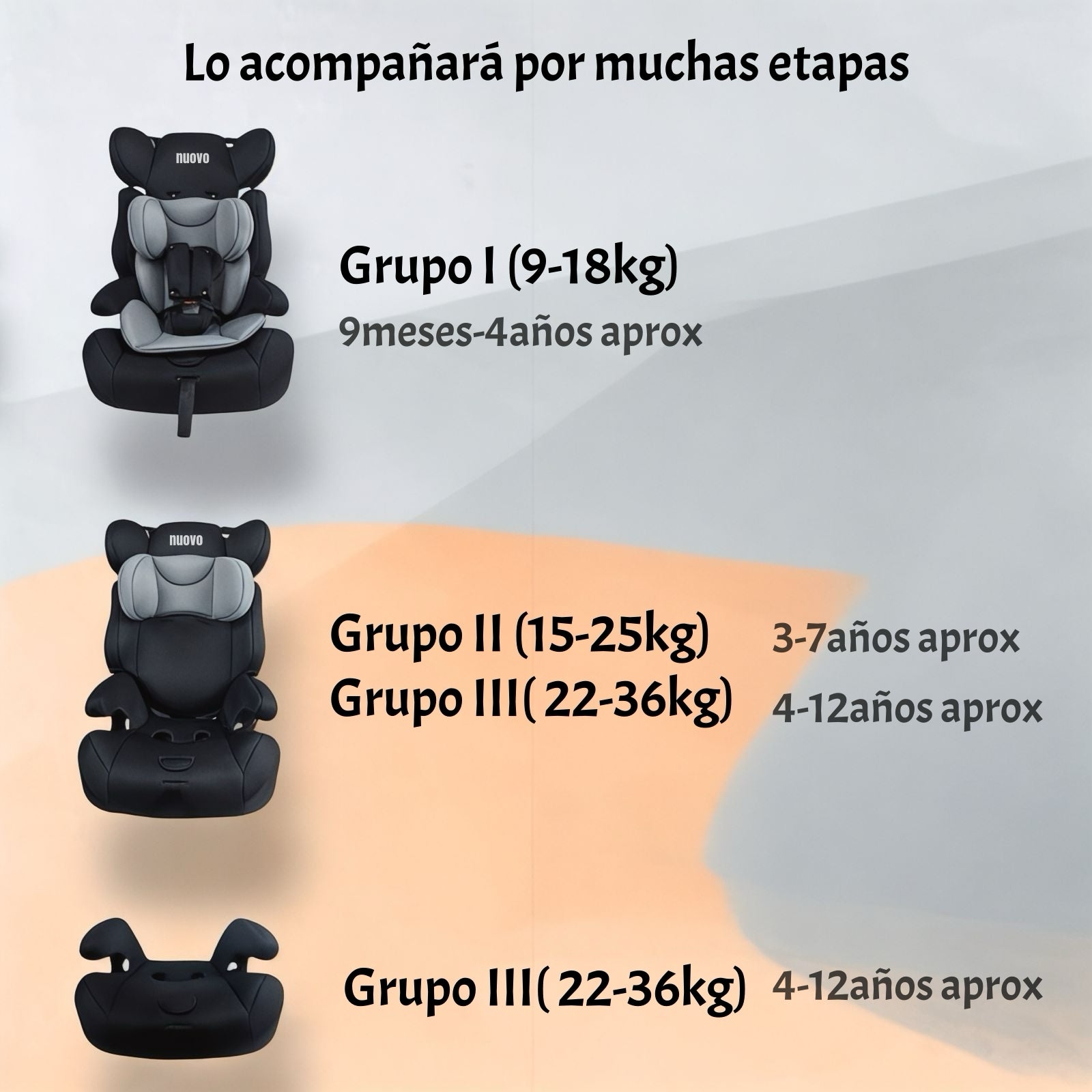 Silla De Auto Butaca 9-36KG 12 Años Gris RA-E LuBabycas