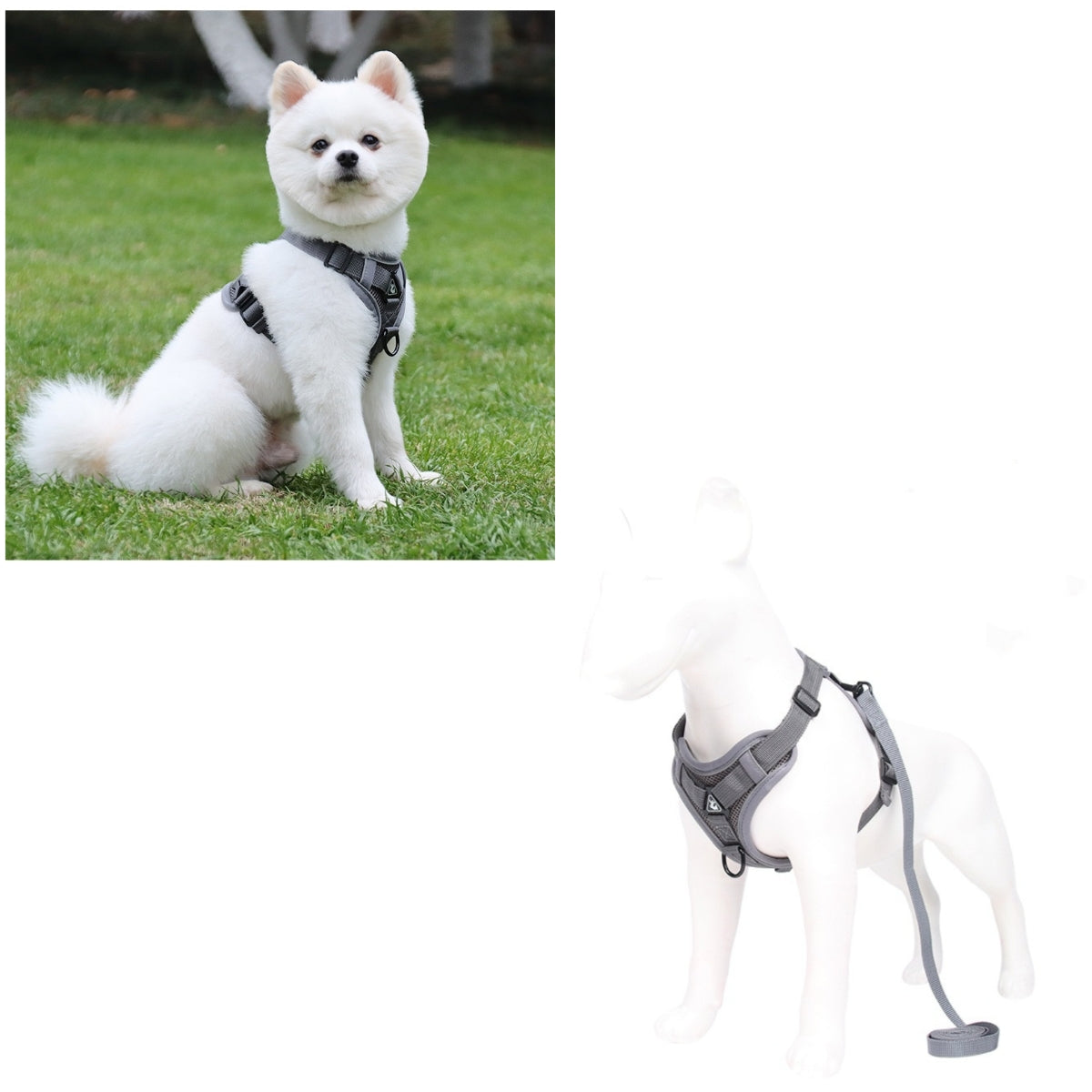 Arnés Para Perro Ajustable Con Correa Reflectantes M