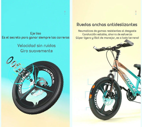 Bicicleta Infantil 8-10 Años Aro 20 Lubabycas Rosada