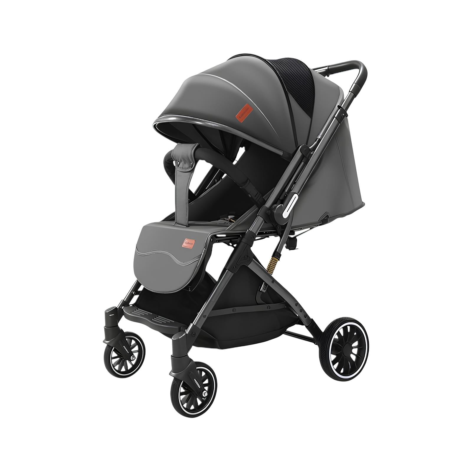 Coche Paseo Reversible Con Mosquitero Focus Gris LuBabycas