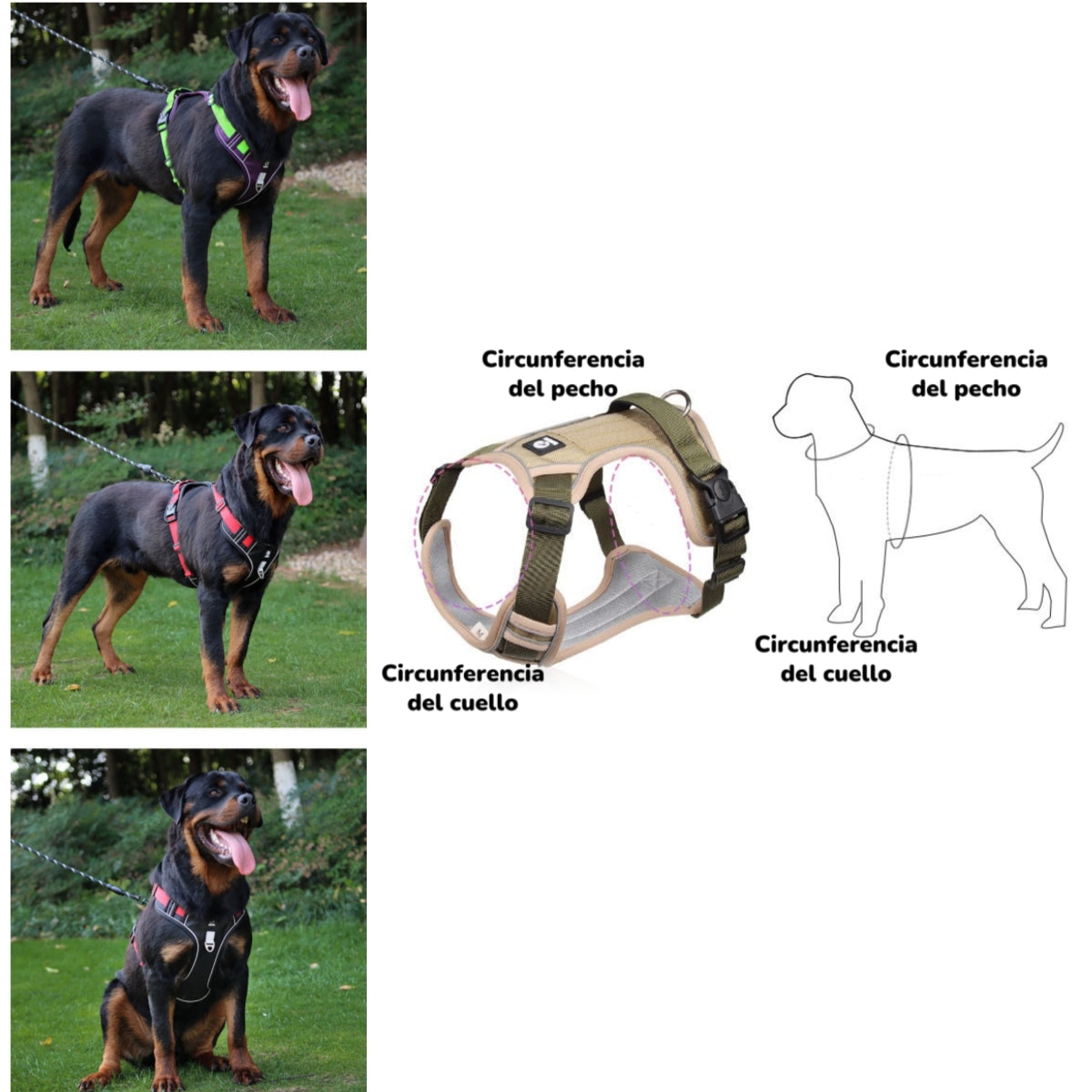 Arnés Para Perro Ajustable Con Correa Reflectantes Mimi M