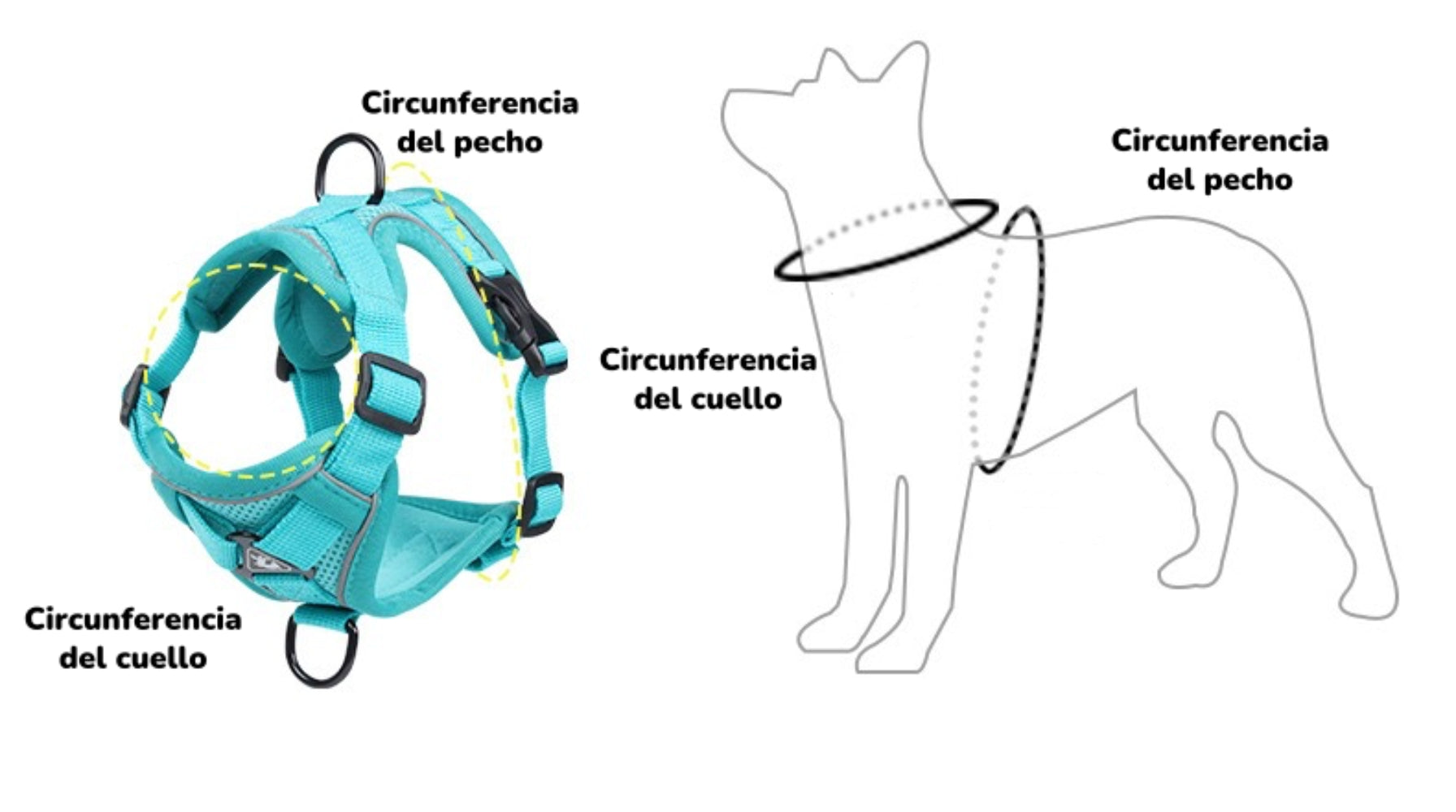 Arnés Para Perro Ajustable Con Correa Reflectantes XL