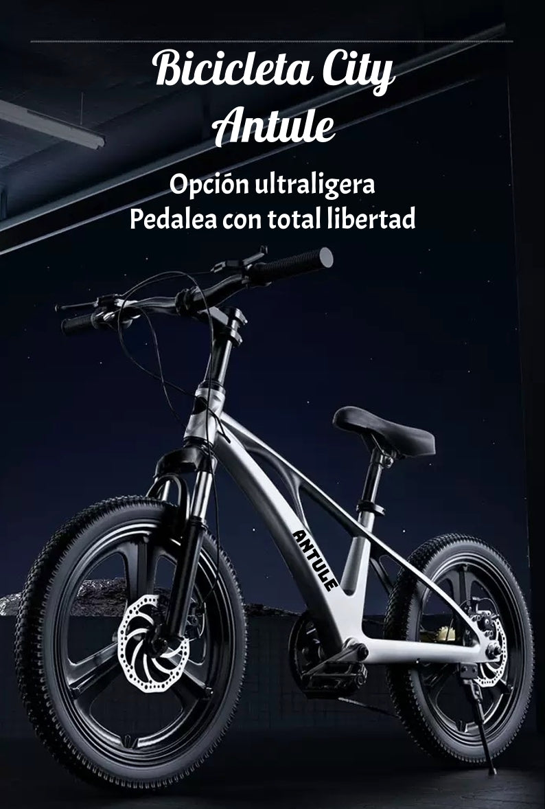 Bicicleta Infantil  City Aro 18 / 20 / 22 LuBabycas