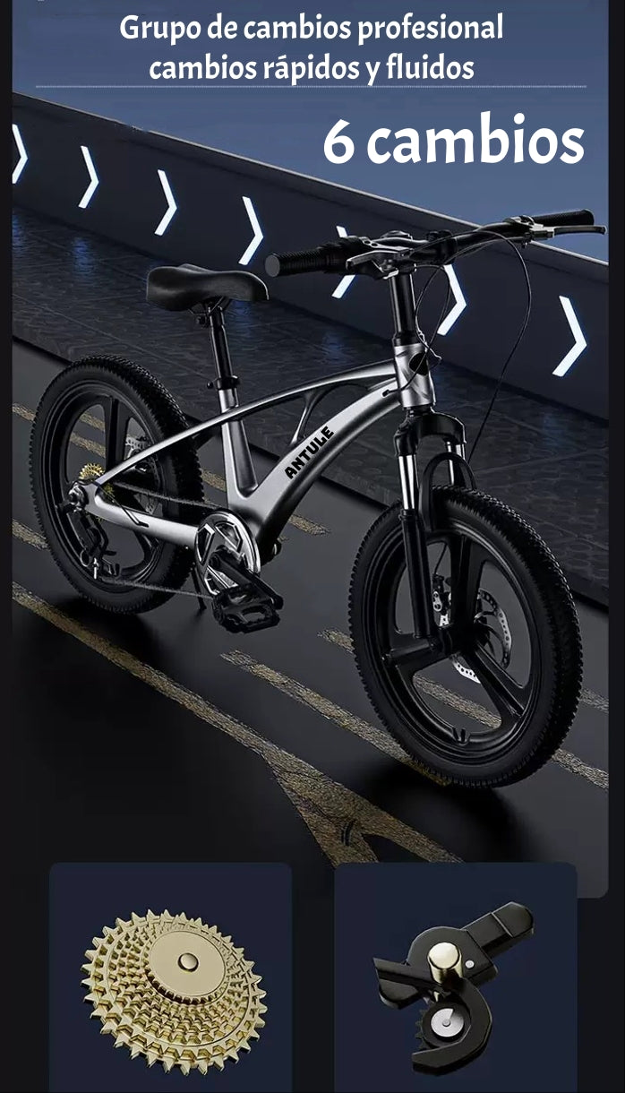 Bicicleta Infantil 7-10 Años Aro 20 City LuBabycas