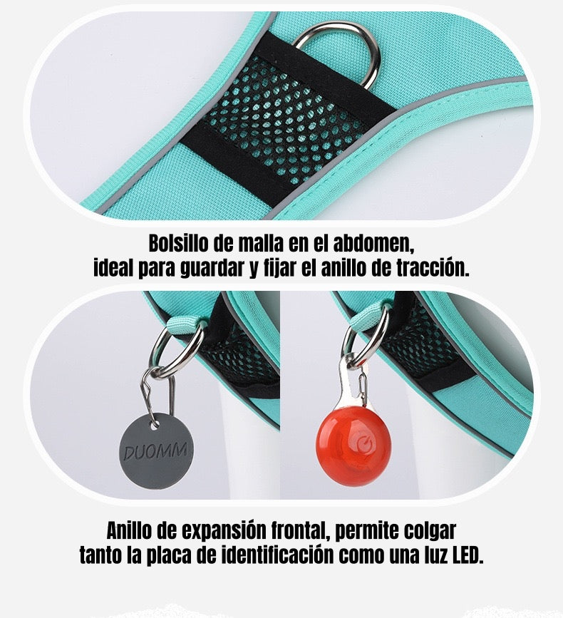 Arnés Para Perro Ajustable Con Correa 1,5M Reflectante Kayla