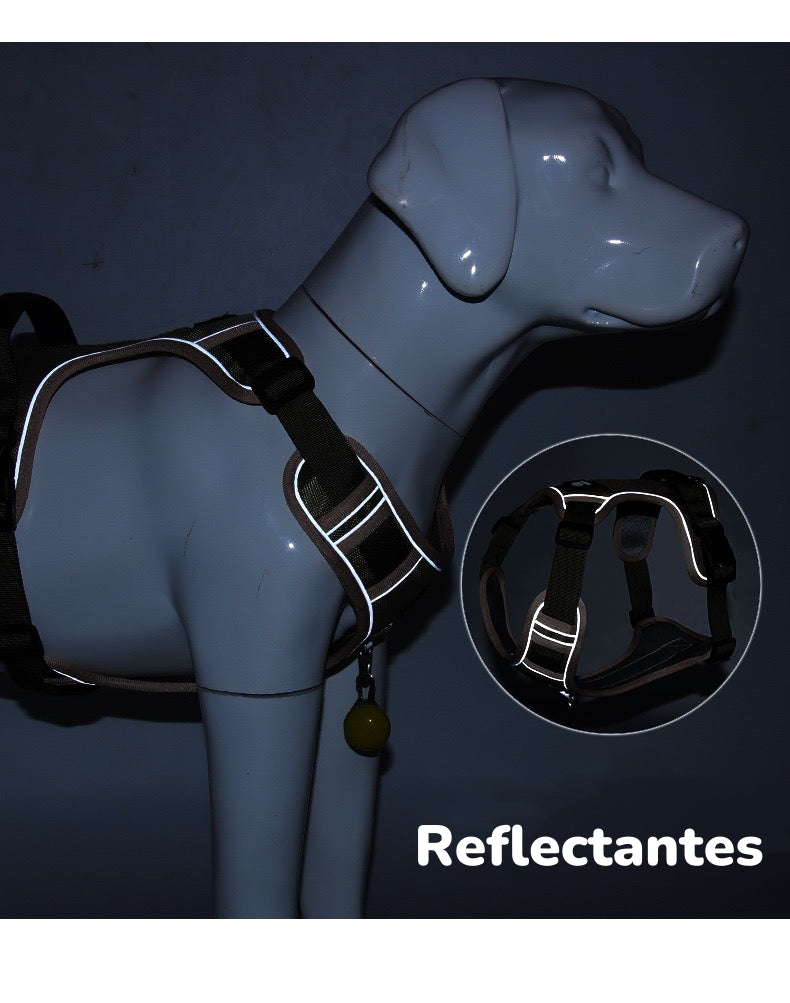 Arnés Para Perro Ajustable Con Correa Reflectantes Mimi