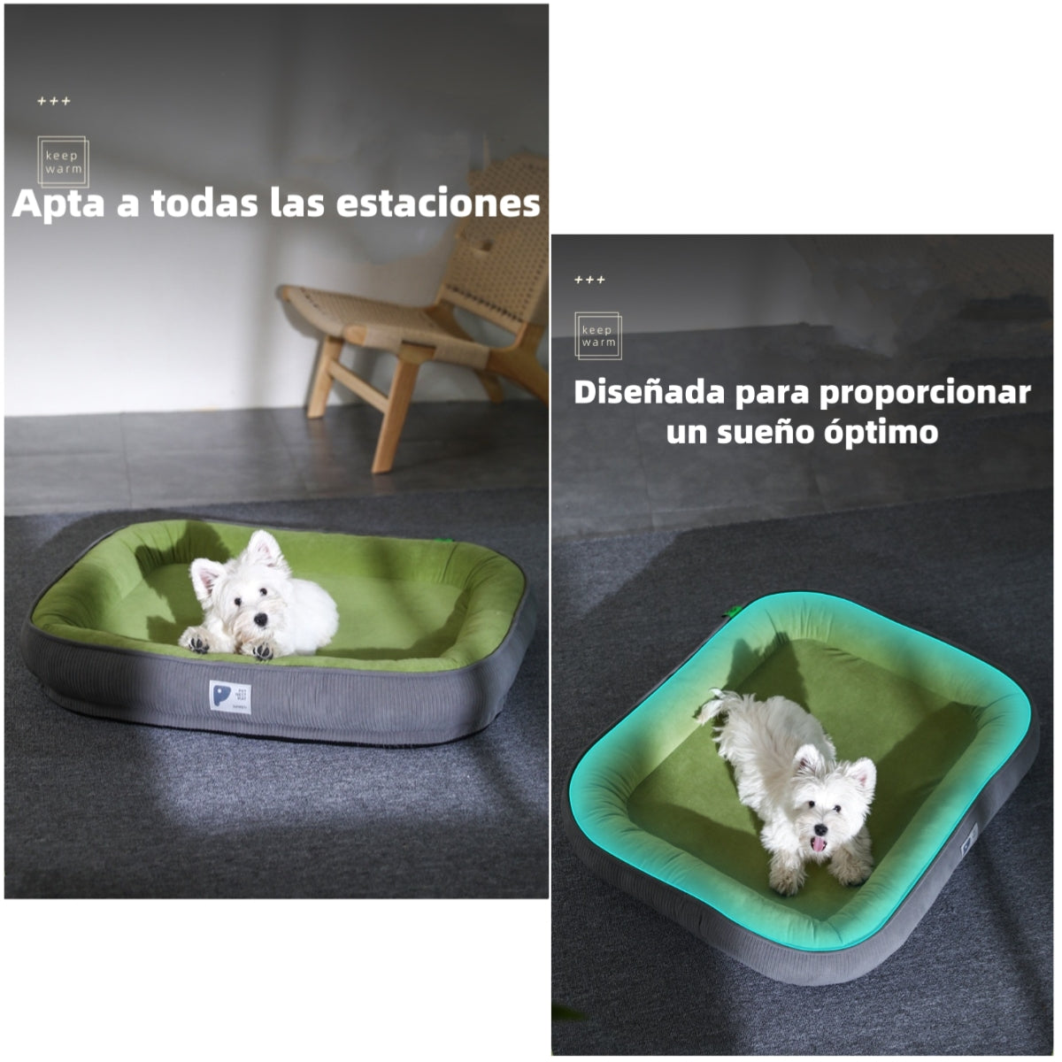 Cama Para Mascota Desmontable 60x48cm LuBabycas